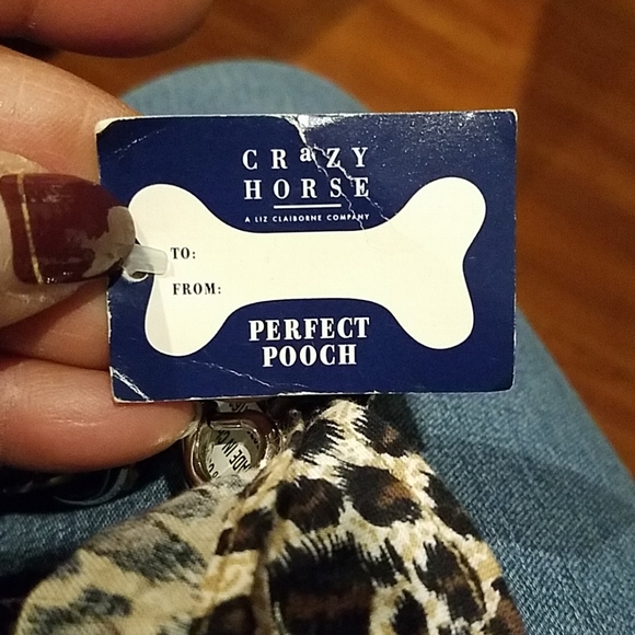 Dog leash with bandana - Picture 4 of 4